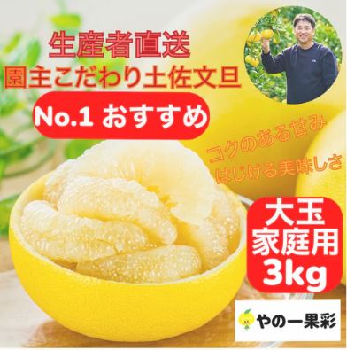 土佐文旦3kg大玉〈送料無料・予約販売〉