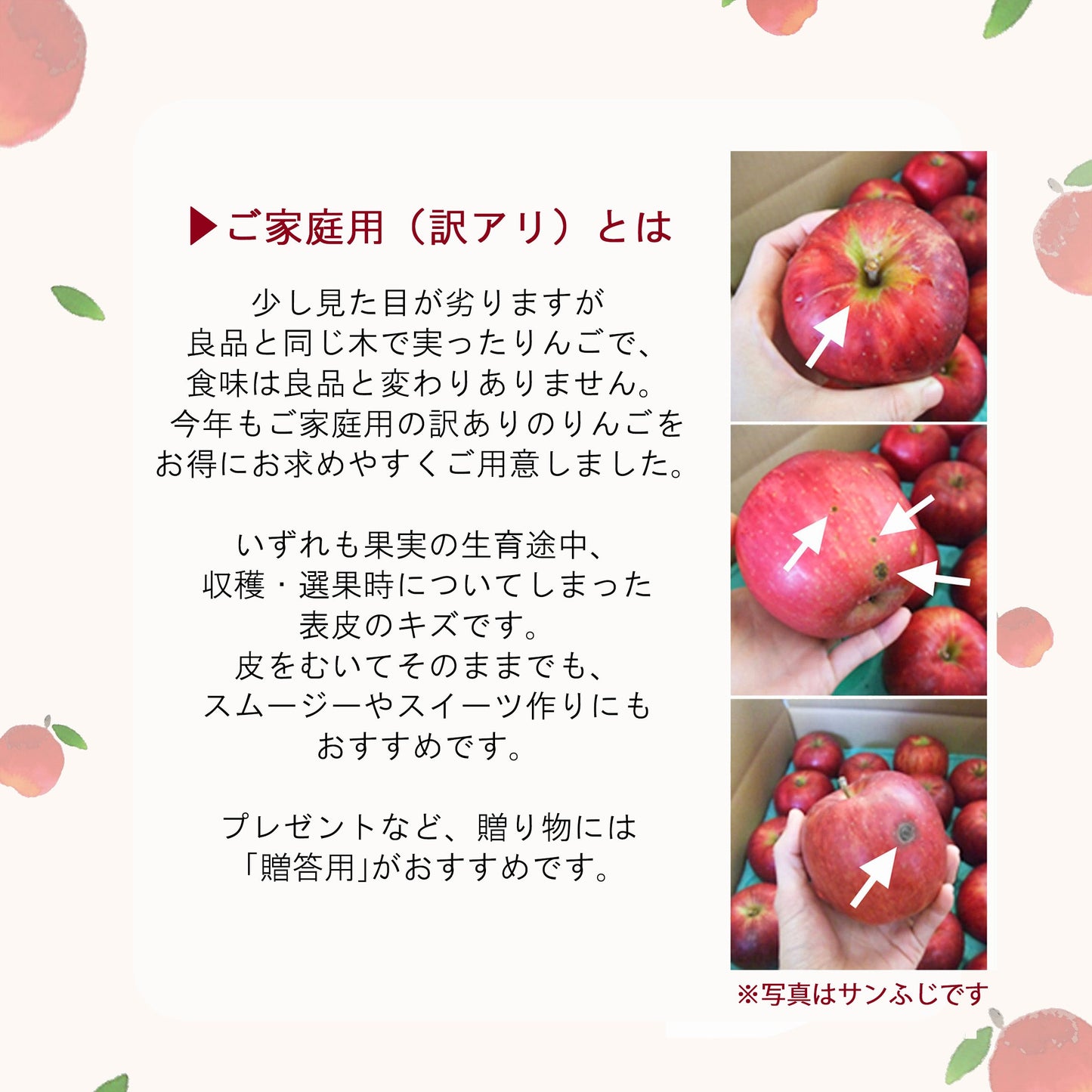 紅玉りんご【送料込】【訳あり】【りんご】【青森県産】【タムラファーム2025】【葉っぱとらじろう】【期間限定】