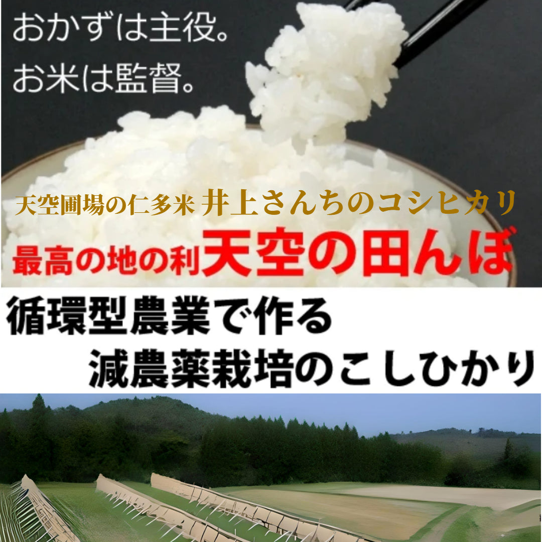 【充足感抜群 天空圃場の仁多米！】井上さんちのコシヒカリ５kg ７年産新米【送料込み】