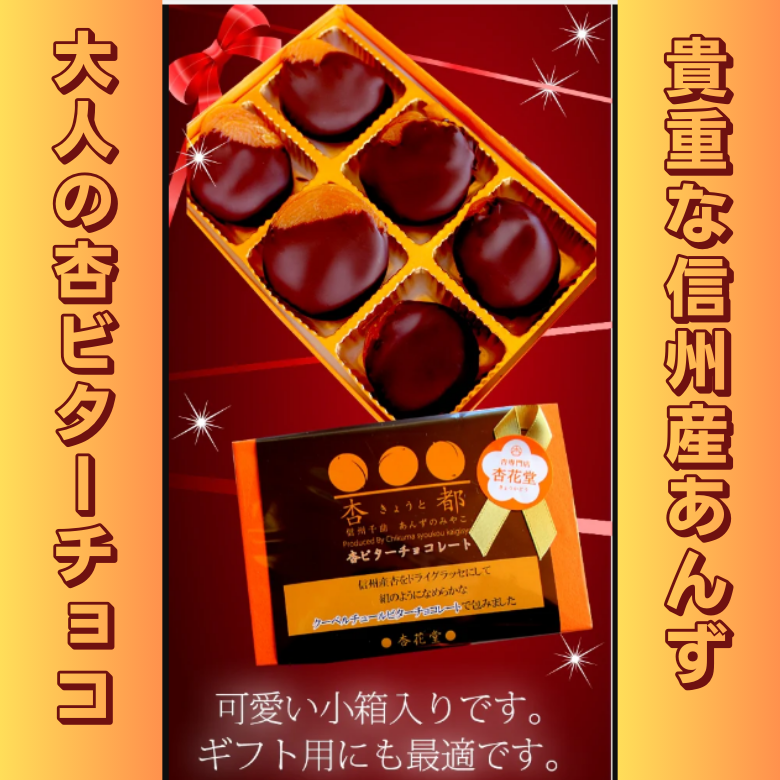 【11月～3月期間限定】フルーツ洋菓子部門★チョコレート部門★人気ランキング1位獲得！【杏専門店が作る大人の杏ビターチョコレート】【スイーツ】