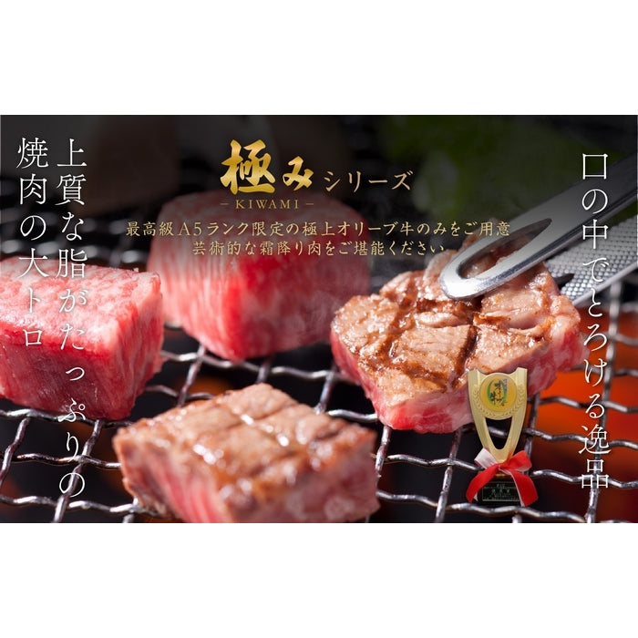 【A5ランク限定使用】☆OHK 岡山放送　金バク！でお宝認定されました!☆ オリーブ牛 焼肉セット / 極みカルピ(500g)＋特製中辛タレ1本(180g)