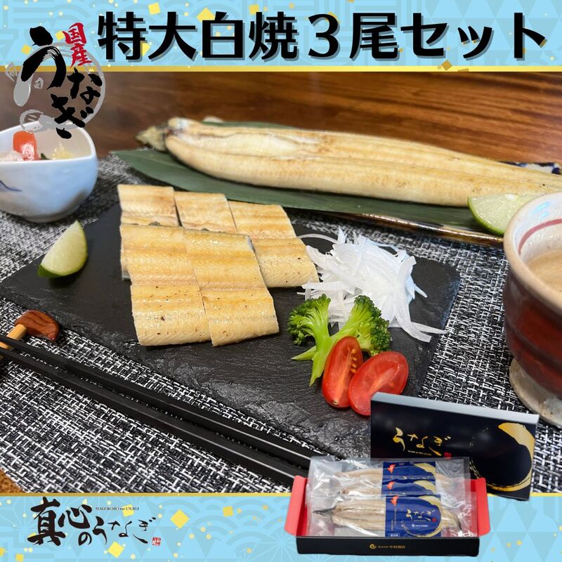 【宮崎県産うなぎ】うなぎ白焼特大3尾セット　入学祝　国産鰻　送料無料