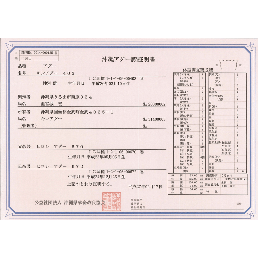 金アグー　しゃぶしゃぶ肉　餃子セット　合計800g（肩ローススライス200g×2　バラスライス200g×2）冷凍【送料無料】