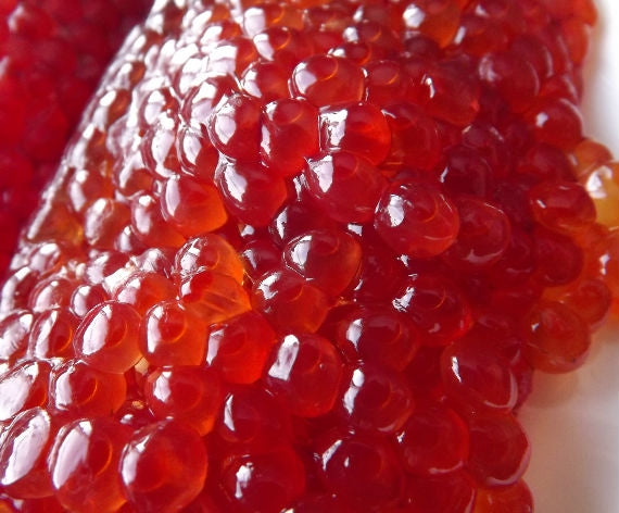 北海道ブランド筋子※ 銀毛秋鮭の卵【うす塩の鮭筋子】昔ながらの「熟成」製法。1本づつラップで密封してます。2.3本です。【新物入荷しました】