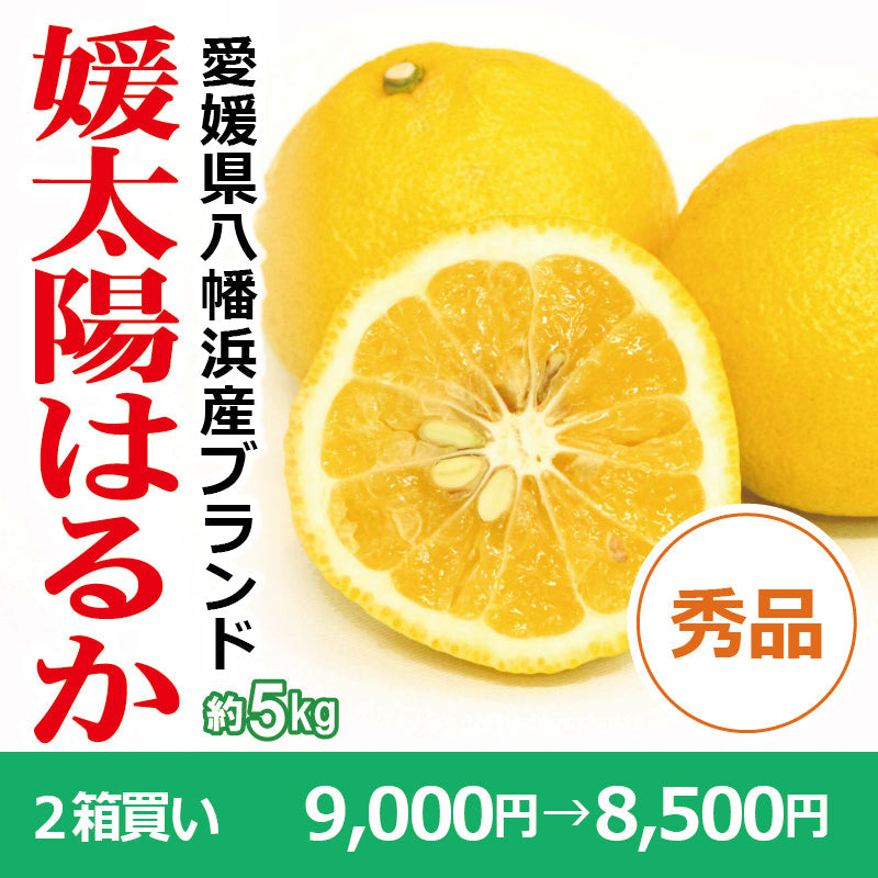 ※今季販売終了※【送料無料】愛媛県産「はるか」-媛太陽はるか-〈秀品〉約5kg