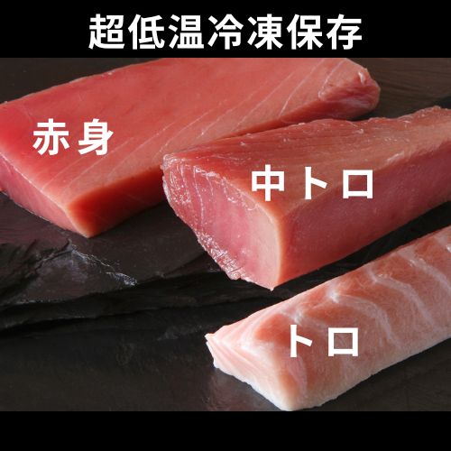 【送料無料】【産地直送】津軽海峡産・本マグロ