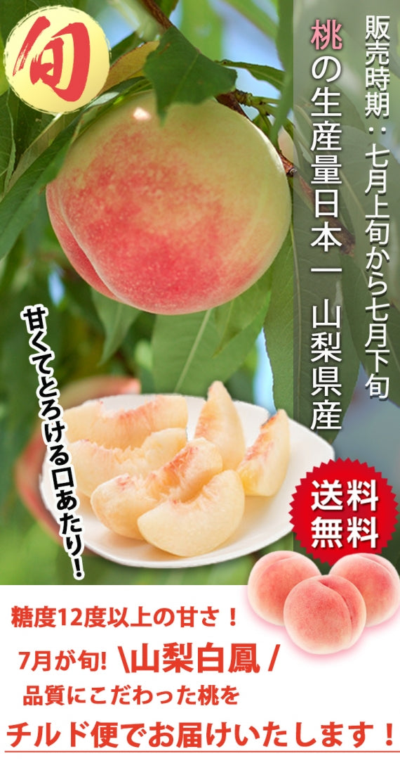 【売り切れ】【送料無料】山梨県産白鳳(桃) ※7月10日頃より順次発送※期日指定不可【お中元2025】【フルーツ】