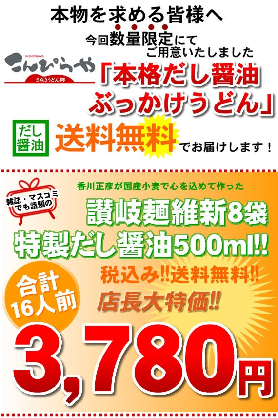 【数量限定１日１００セット】本格だし醤油ぶっかけうどん【送料無料】