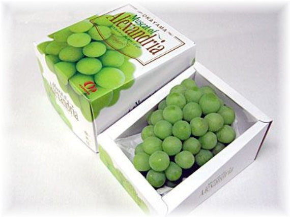 予約販売！「岡山特産」桃太郎ぶどう（1房)とマスカットオブアレキサンドリア（2房）【発送は８/20から】