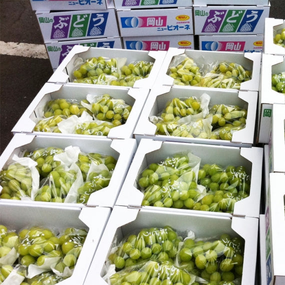 【送料無料】岡山産シャインマスカット　大房1房（約700g）[2024年]