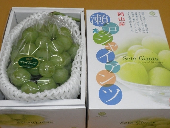 岡山特産「瀬戸ジャイアンツ」1房（約800g）【赤秀】薄皮で皮ごと食べれて、しかも種無し!