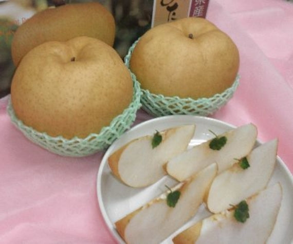 「岡山特産「日本最大級の梨」あたご梨(ジャンボ梨）3個～6個　【お歳暮2025】【フルーツ】発送は、１１月下旬から。