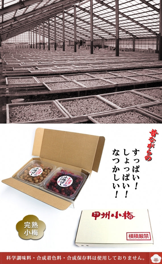 昔ながらの小梅干し（白干し）と（しそ漬）のセット　塩分約15％