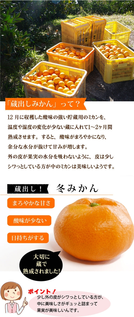 ＜1月からのミカン＞まろやかな味わい★蔵出し！★熟成みかん
