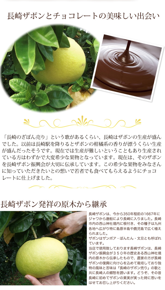 【季節限定】ブランデーワイン、カクテルなどの洋酒ともぴったり！『長崎ザボンdeショコラ』 100g入り　（日付指定可能・4,000円以上で送料無料）