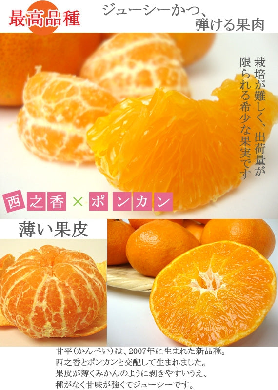 【販売終了】薄皮・種なし・果肉はじけるうまさ！甘　平（かんぺい）　ご家庭用（キズ・不揃いあり）　約５ｋｇ　4L～Lサイズ（サイズ指定不可）