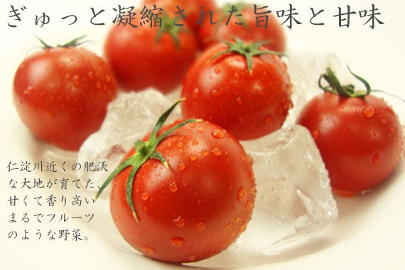 【送料込み】糖度８度以上！久保さんのフルーツトマト１．５ｋｇ