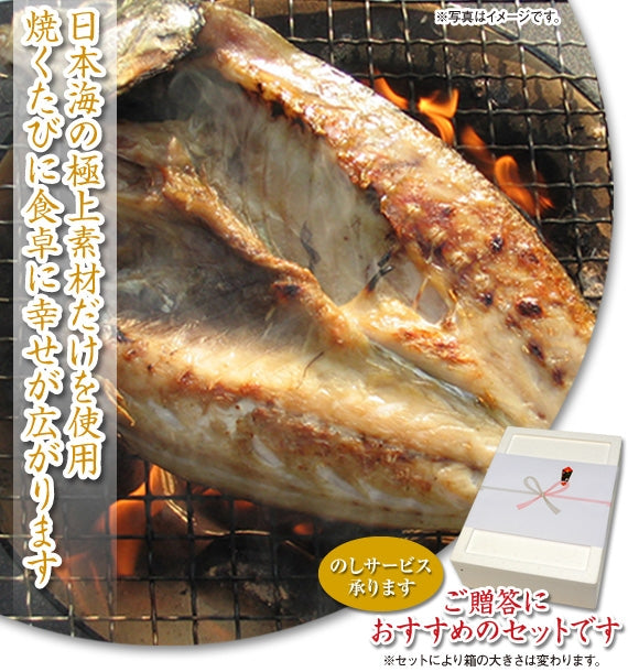 【日本海の恵みを山陰から】【送料無料】新鮮・豪華ひもの・だんだん５点セットA