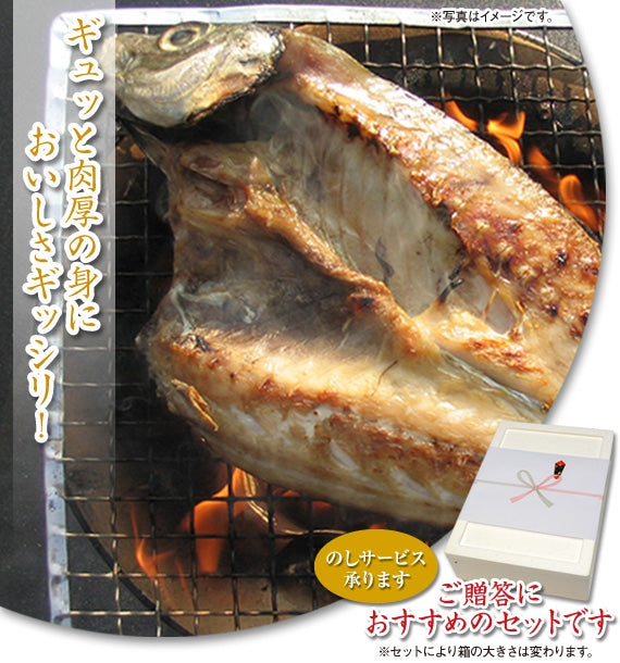 【日本海の恵みを山陰から】【送料無料】新鮮・豪華！真あじ・ひもの　８尾セット