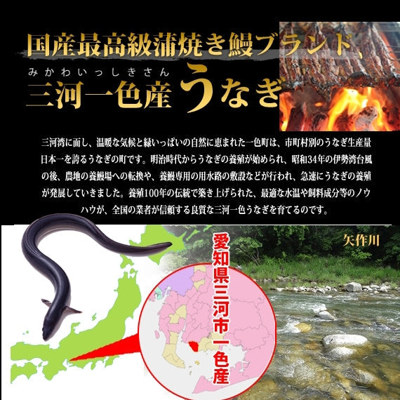 【ひつまぶし6人前】愛知県三河一色産うなぎ蒲焼 化粧箱入り★送料無料 名古屋グルメ