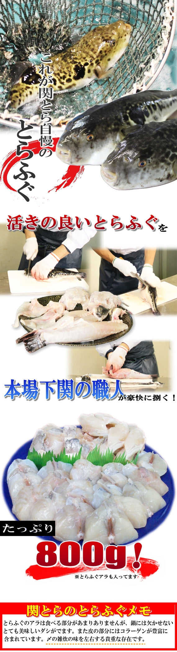 お歳暮 ギフト 【送料無料】とらふぐちり鍋セット（5～6人用）