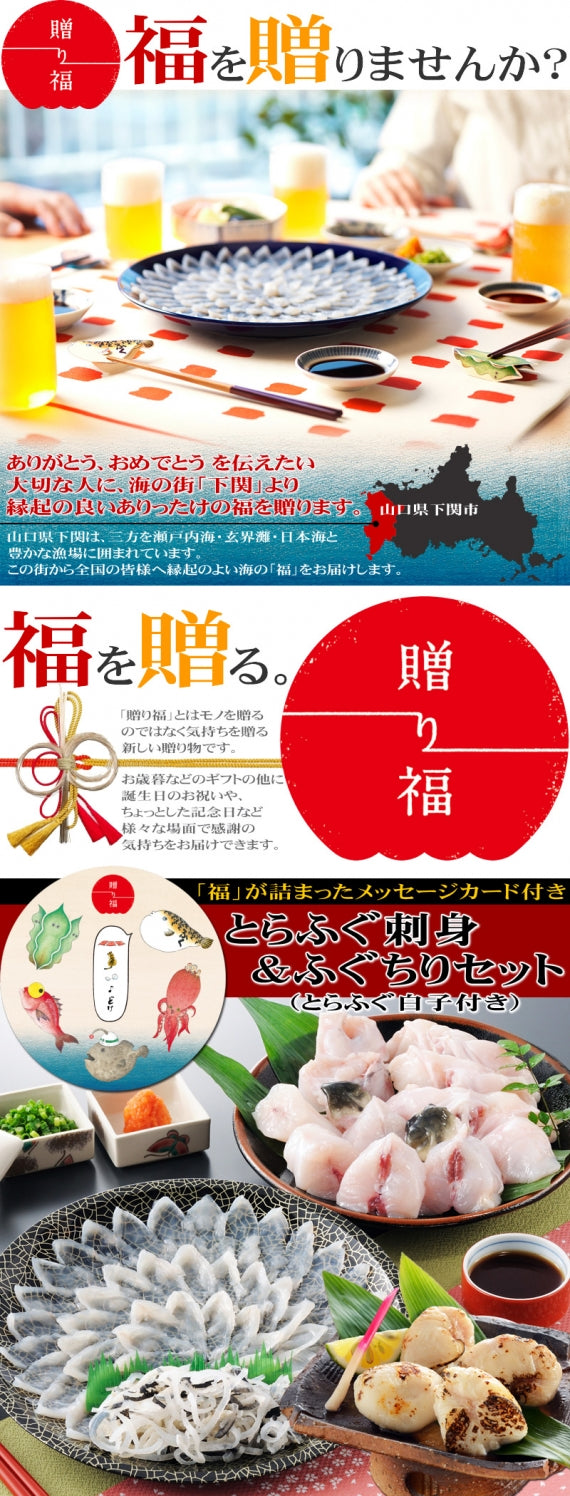 お歳暮 ギフト 【贈り福】とらふぐ白子付き！とらふぐ刺身とふぐちりセット（約3人前）