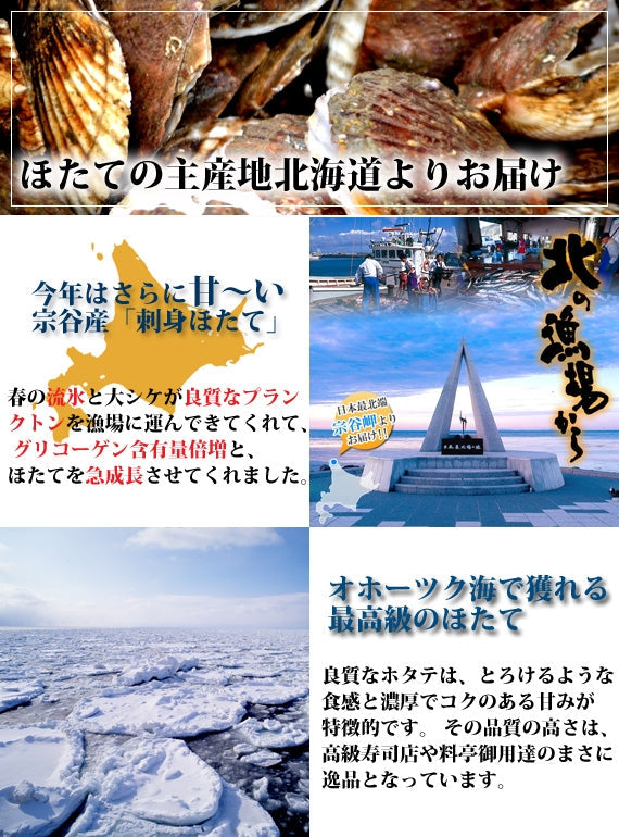 【送料無料】ワンランク上のオホーツク※刺身ほたて※産地ならではの厳選品質と価格で！※便利な300g×3パック【約45玉】★地元でも愛される「訳なし良品」です★