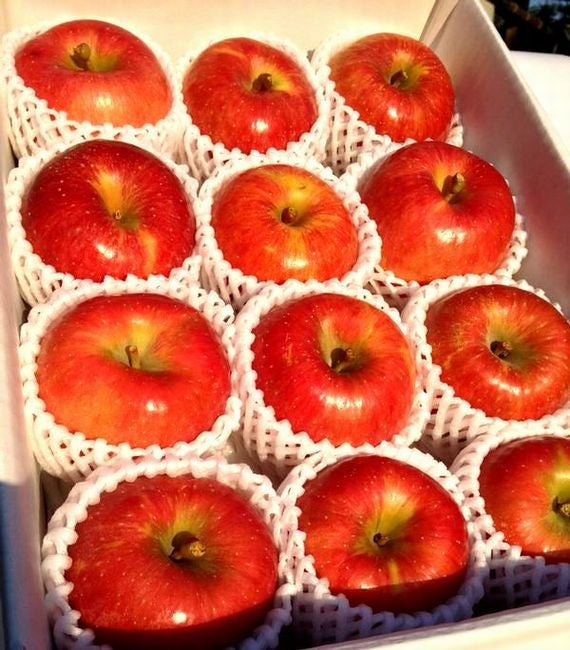 蜜がたっぷり！幻のリンゴ　「こうとく」【送料込み価格】