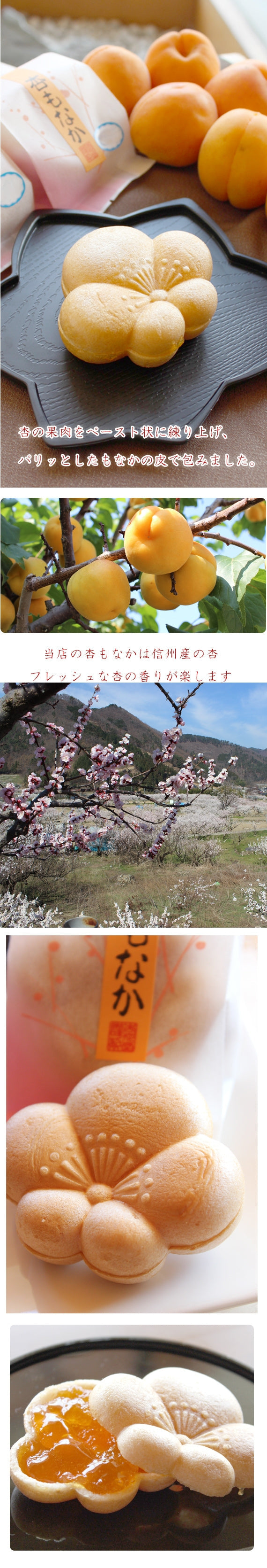 【信州産】【雑誌VERYモデル佐田真由美さん喜ばれる手土産で紹介！】　杏もなか5個入り