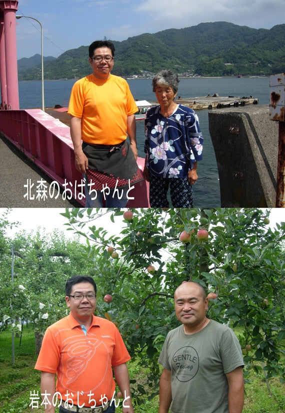 【送料込】添加物と砂糖をつかわない海藻ゼリー　りんご１２個　