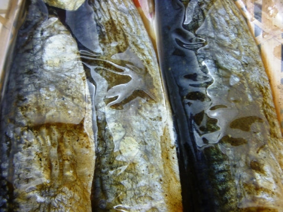 ◆香りとピリッが効いた頑固おやじの『にしん山椒漬』