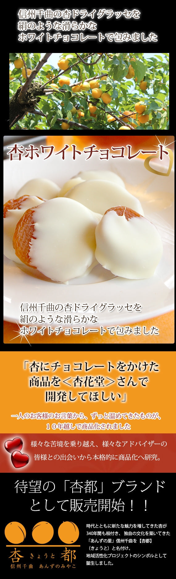 【期間限定１０月～３月販売】フルーツ洋菓子部門★チョコレート部門★人気ランキング1位獲得！【杏専門店が作る大人の杏ホワイトチョコレート】【スイーツ】