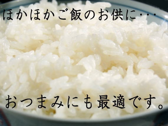 わさびのパリパリ漬