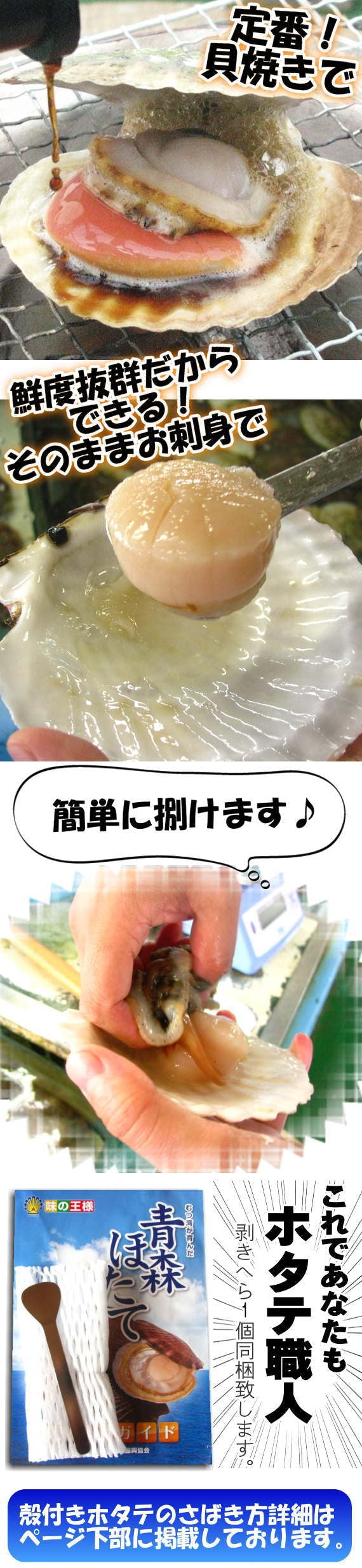【送料無料】青森県むつ湾産 最高級活ほたて Lサイズ6kg（42枚～60枚）剥きへら付【のし対応】【カニ・鮮魚・魚介類】
