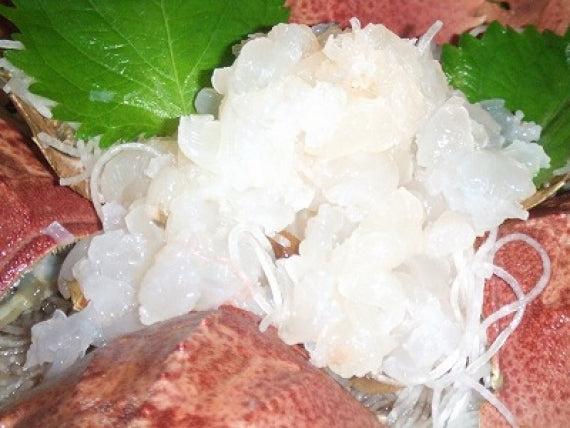 志々伎漁協から直送！見てビックリ！長崎県平戸天然活き「オオバウチワエビ」大サイズ約1㎏(5匹～7匹）