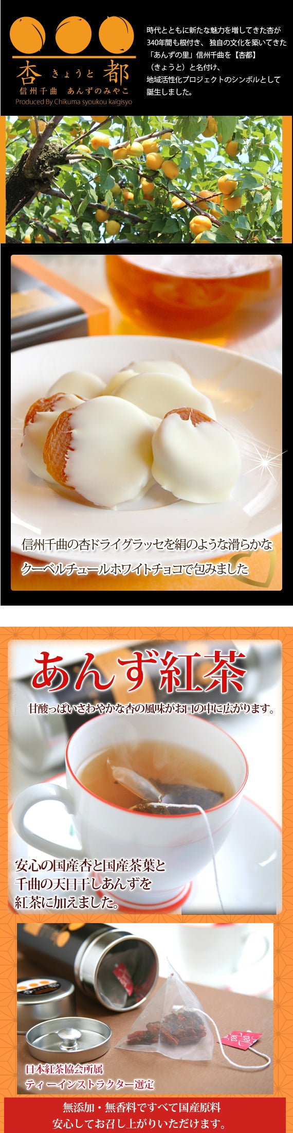 ●【送料込み・沖縄のみ別途】【信州産】杏専門店が作る大人の【杏ホワイトチョコレート・あんず紅茶】セット