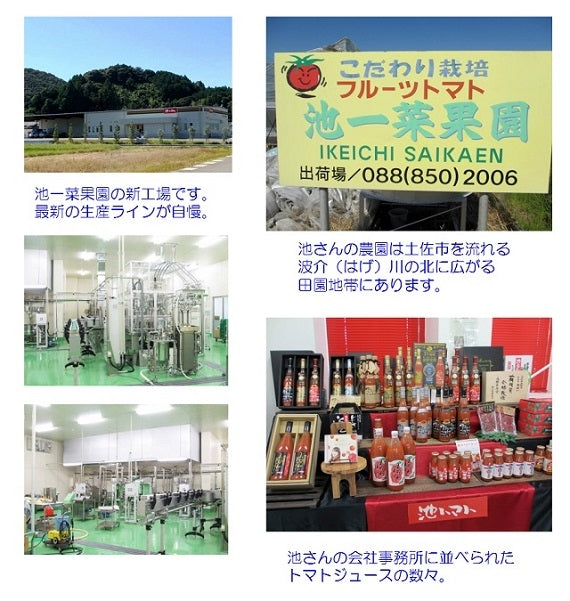 【送料込み】池一菜果園　毎日フルトマ１００ｍｌ　３０本入り