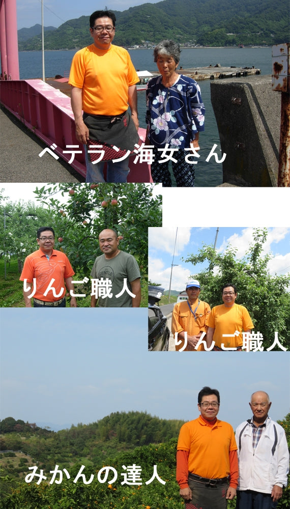 【送料込】添加物と砂糖をつかわない海藻ゼリー　りんごとみかんのセット