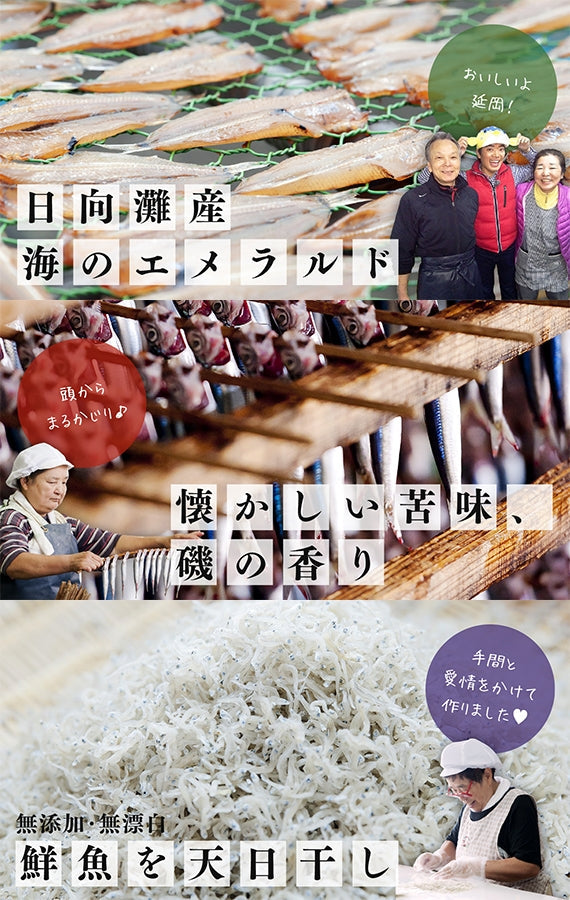 【メルマガ会員限定☆25％OFF】旬のメヒカリ、日向灘の恵みセット【9/8～9/14の7日間のみ】