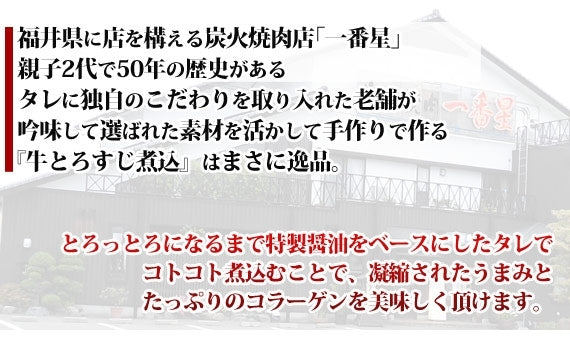 【送料無料】焼肉屋が作る『牛とろすじ煮込』　[20袋セット]　トロトロ柔らか♪手作り！国産牛＆福井醤油使用【パウチ】