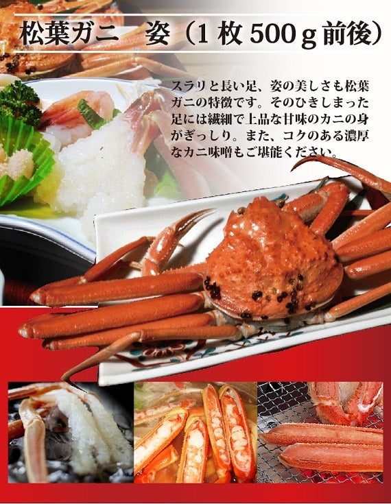 松葉ガニ漁解禁！　夫婦セット　松葉ガニ（中）1枚＆親ガニ3枚　【生／茹で】