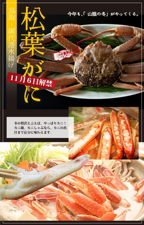 松葉ガニ漁解禁！　松葉ガニ　特大サイズ約1kg タグ付【生／茹で】