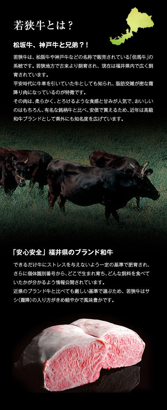 【お試し】 三ツ星若狭牛〈切り落とし〉500g（4～5人前）［冷蔵便］
