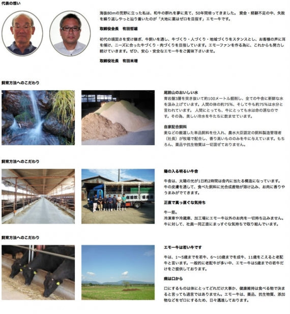 焼肉用(やきにく/焼き肉焼き肉セット) 赤身 1000g 宮崎県産 黒毛和牛 EMO牛（有田牛） 冷凍 珍味のお試し・おためしに 簡易包装 訳あり ビールのお供に お取り寄せグルメ 冷凍 国産 九州産