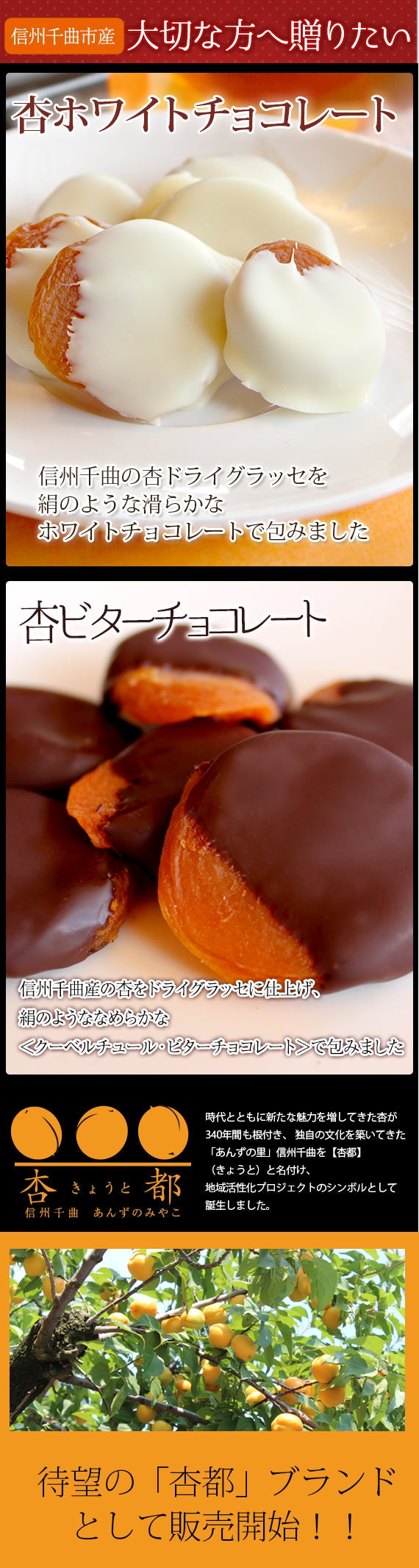 期間限定11月～3月販売】杏専門店が作る大人の【杏チョコレート