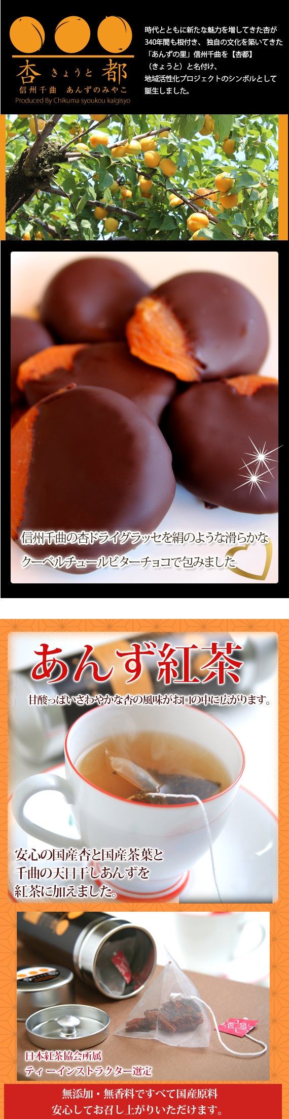 【期間限定11月～3月】【信州産】杏専門店が作る大人の【杏ビターチョコレート・あんず紅茶】セット【スイーツ】