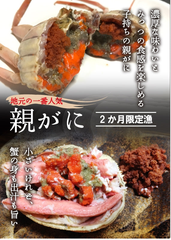 松葉ガニ漁解禁！　親ガニ（セコガニ）10枚セット【生／茹で】