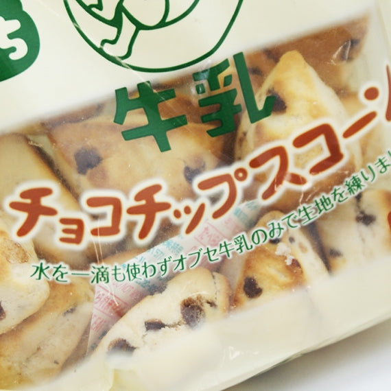 オブセ牛乳チョコチップスコーン　信州長野のお土産　焼菓子