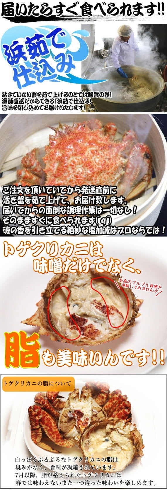 青森の毛蟹 トゲクリ蟹 オス 1キロ 約3杯～6杯 送料無料【トゲクリガニ 毛蟹 トゲクリカニ】