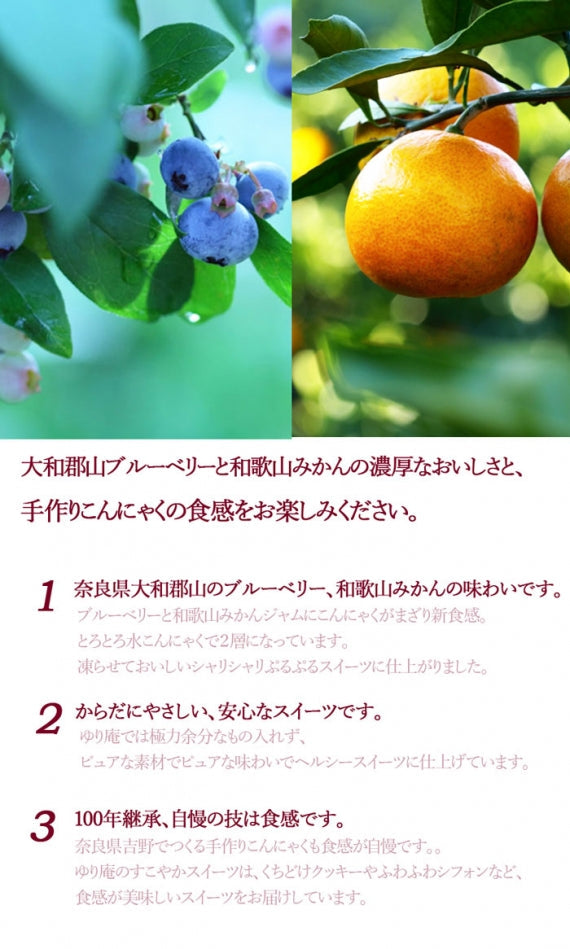 【すこやかスイーツ】こんにゃくシャーべ（お好きに選べる5個入）